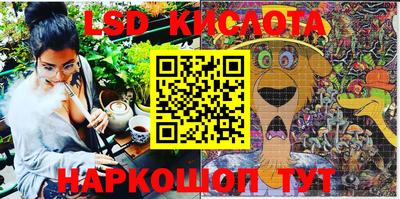 PSILOCYBIN Будённовск