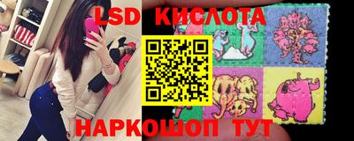 PSILOCYBIN Будённовск