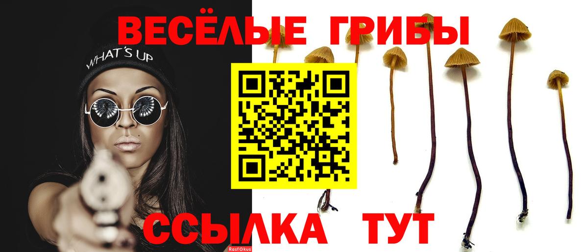 Галлюциногенные грибы мухоморы  Галлюциногенные грибы Psilocybe  Вход с VPN  Балашиха 